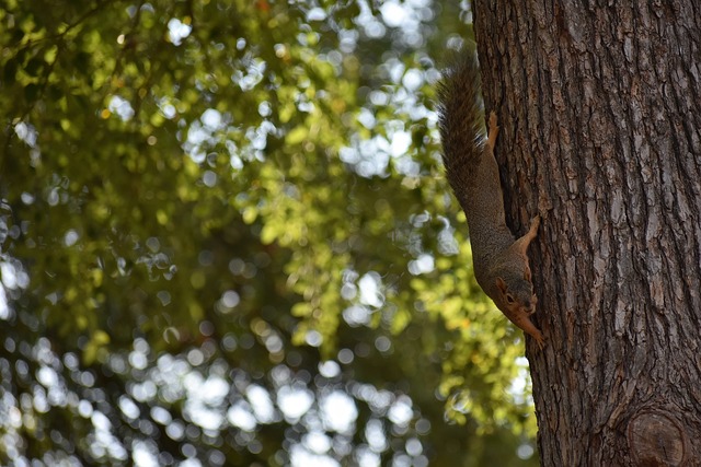 足球国足归化球员表现稳健，获媒体点赞