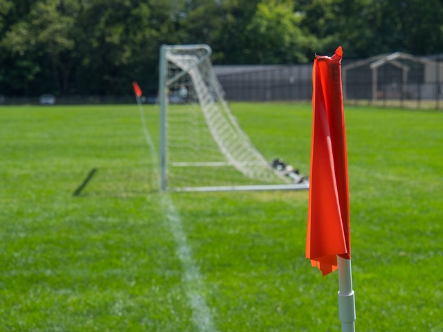 浙江队表现稳定